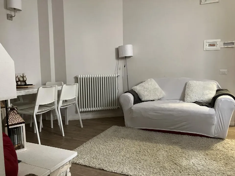 Living room with a white sofa, rug, floor lamp and dining area